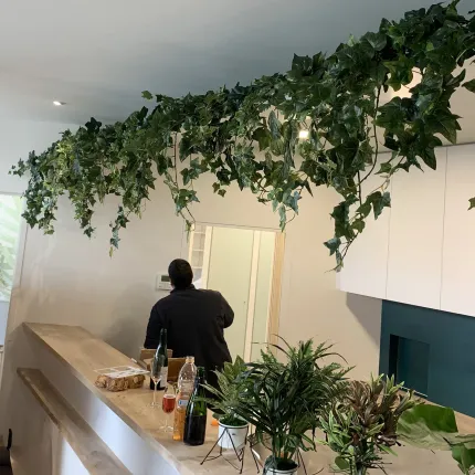 mise en situation LIERRE Anglais new artificiel 70 et 110 cm dans une cuisine