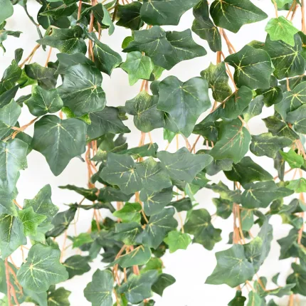 feuilles LIERRE artificielle 200 cm
