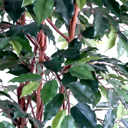 feuilles FICUS artificiel benjamina  LIANES Grandes Feuilles  vert