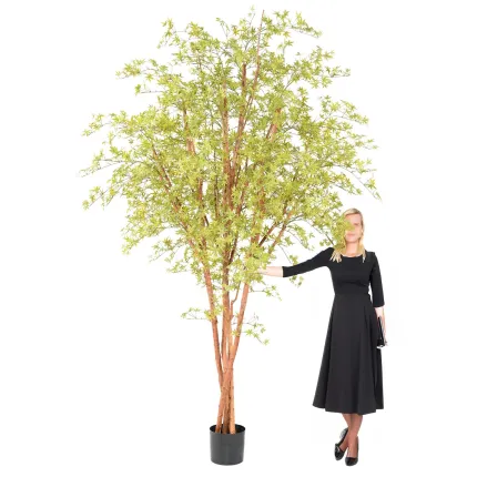 hauteur sous feuillage ERABLE artificiel plast (Aralia) 270 cm