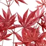 feuilles branche artificielle ERABLE 70 cm rouge automne  (Aralia)