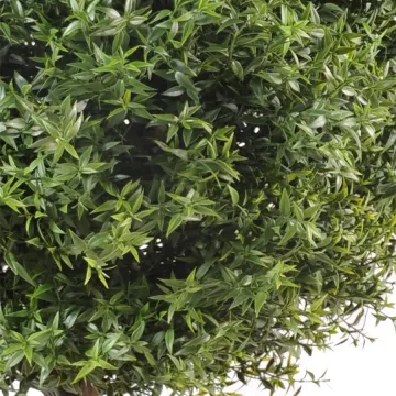 feuilles Eucalyptus Plast Tige Artificiel 110 cm