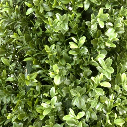 feuilles BUIS artificiel PYRAMIDE  NEW  160 cm