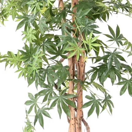tronc et feuilles ERABLE artificiel DE LUXE (Aralia)  150 et 180 cm