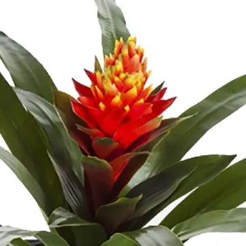 fleur de BROMELIA artificiel ou Guzmania Conifera 50 cm