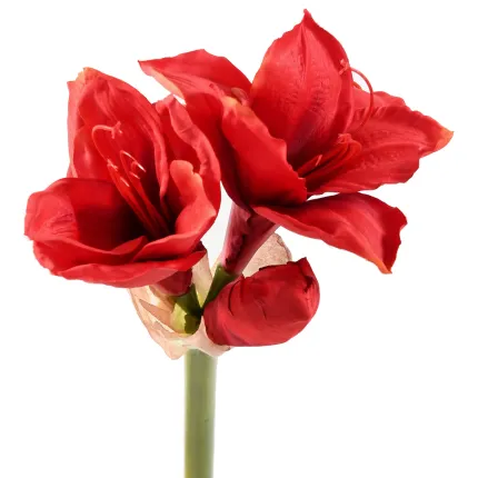 détails AMARYLLIS artificiel 75 cm