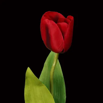 tête de TULIPE artificielle