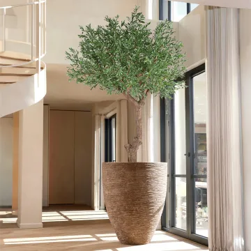 OLIVIER artificiel plast tête géant 270 cm  (olives ) dans un hall d'entrée