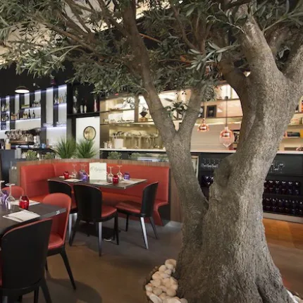 dans un restaurant OLIVIER artificiel NEW TREE 430 cm