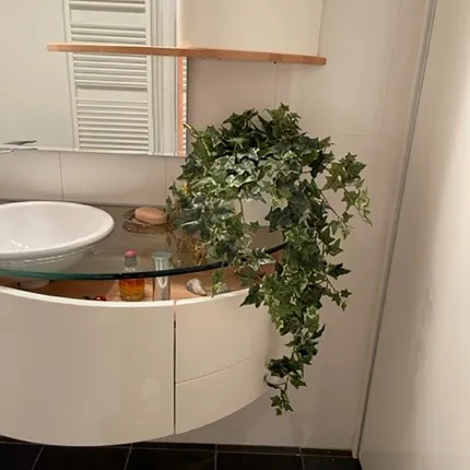 mise en situation LIERRE Anglais panaché artificiel dans une salle de bains