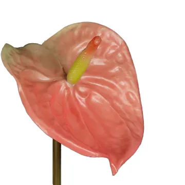 détail ANTHURIUM artificiel 69 cm