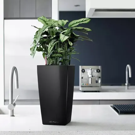 mise en situation Lechuza Cubico noir brillant hauteur 40 à 75 cm dans une cuisine