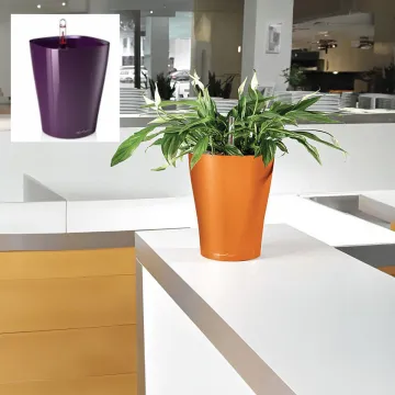 mise en situation Deltini largeur 15 x H 19 cm dans une cuisine