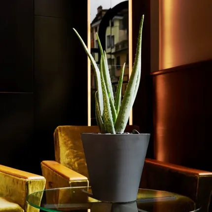 mise en situation HEM Ø  30 cm dans un salon