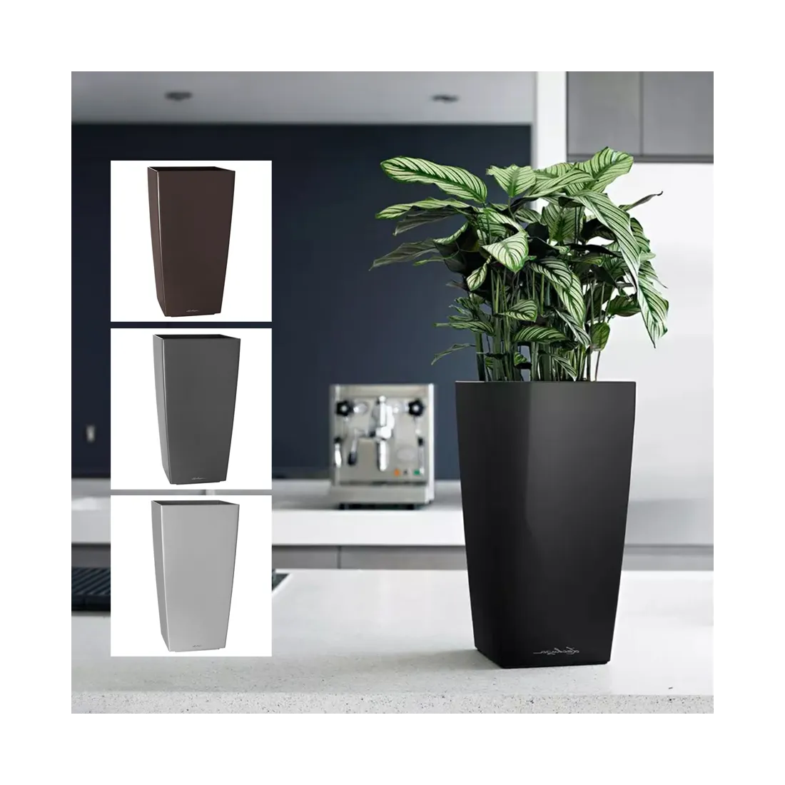 Lechuza mini CUBI  9 hauteur 18 cm