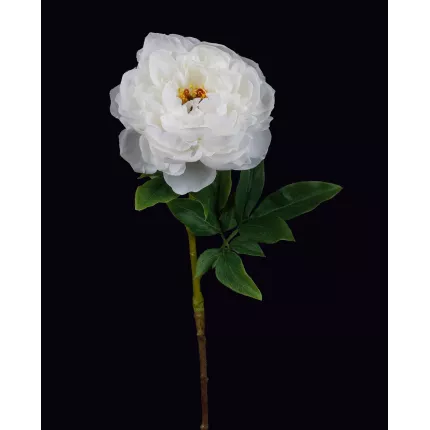 PIVOINE artificielle blanche 56 cm