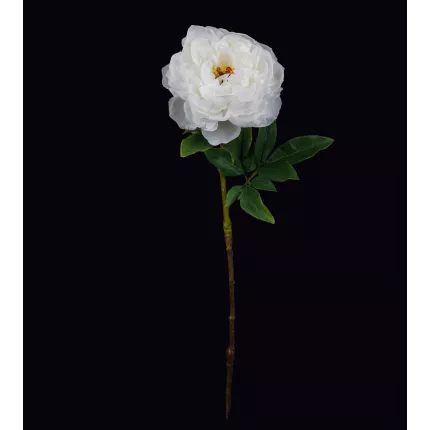 PIVOINE artificielle blanche 56 cm