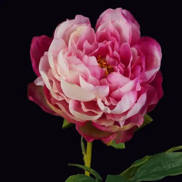 fleur PIVOINE artificielle fushia 56 cm