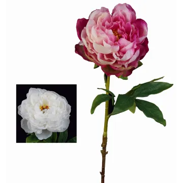 PIVOINE  artificielle 56 cm