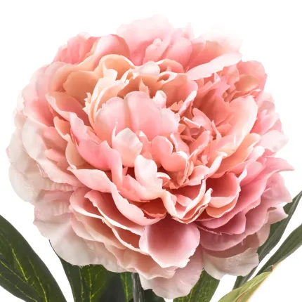 fleur PIVOINE artificielle rose 75 cm