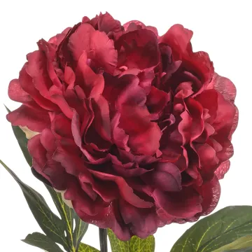 fleur PIVOINE artificielle rose beauty 75 cm