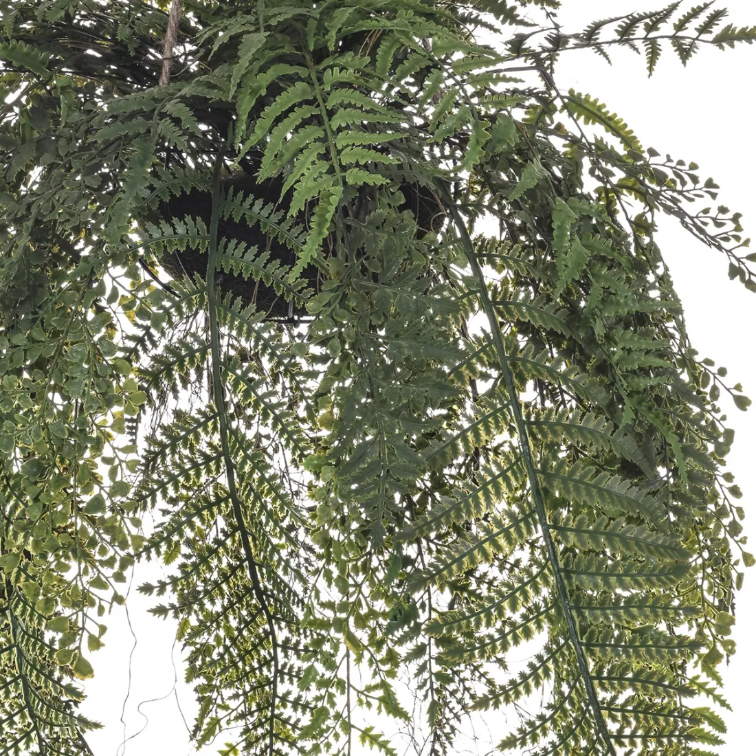 FOUGERE Artificielle Sur Plot 90 à 170 Cm - Fausses Plantes