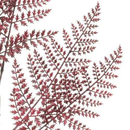 feuille artificielle de la Branche FOUGERE artificielle  80 cm burgundy