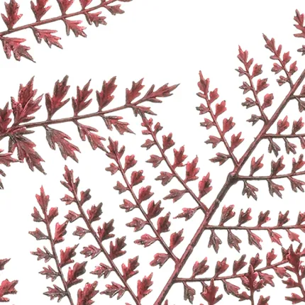 détail de la feuille artificielle de la Branche FOUGERE artificielle  80 cm burgundy