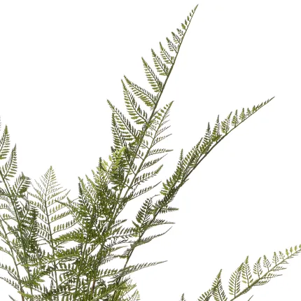 feuillage FOUGERE artificielle plast 125 cm