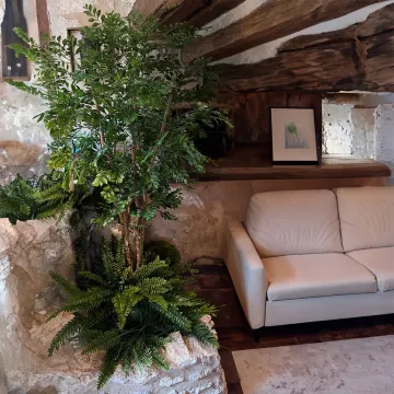 ACACIA artificiel 150 à 210 cm dans un salon