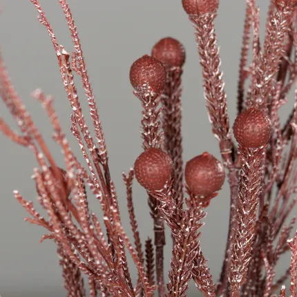 Plante des SABLES 51 cm bordeaux en détail