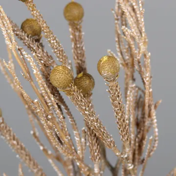 Plante des SABLES 51 cm crème en détail