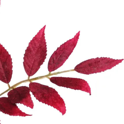 feuilles branche SUMAC AMARANTHE artificiel 82 cm bordeaux