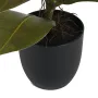 pot fourni avec FICUS artificiel ELASTICA ou caoutchouc 44 cm
