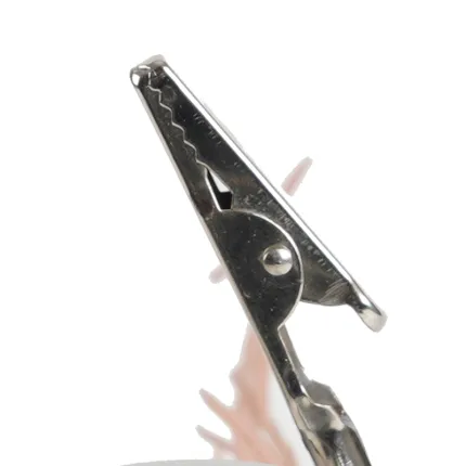 pince crocodile du CORAIL artificiel sable 40 cm