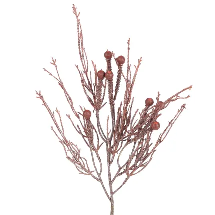 Plante des SABLES 51 cm bordeaux