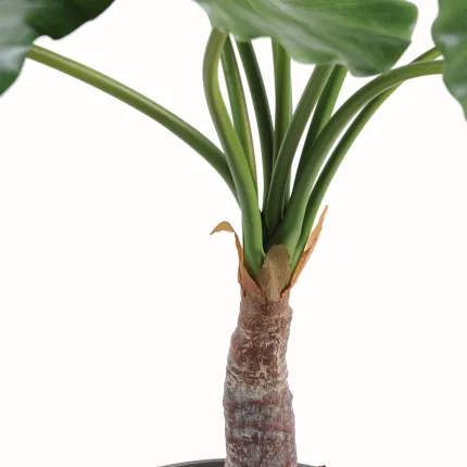 tronc ALOCASIA CALIDORA  artificiel  80 cm