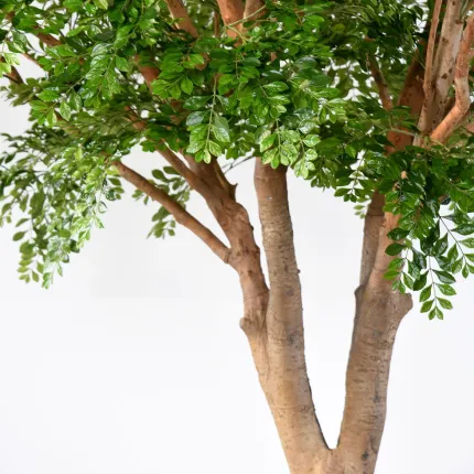 feuilles BUCIDA artificiel 360 cm  ANTI FEU