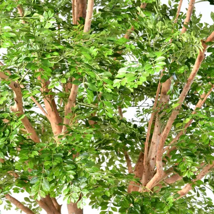 Feuillage et branches Bucida artificiel  ignifugé 360 cm