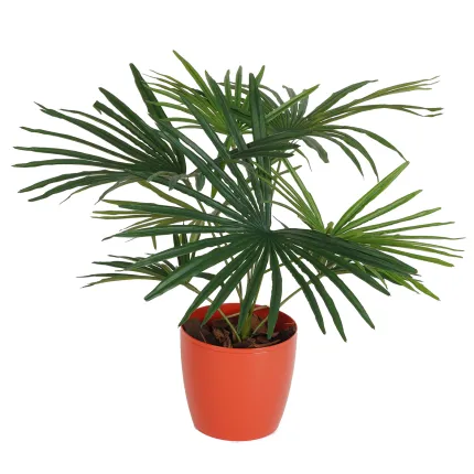 PALMIER artificiel BABY  47 cm avec pot