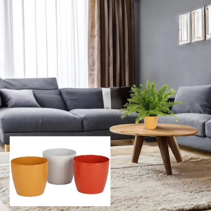 Composition plante + pot pour table basse