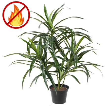 Dracaena anita artificiel ignifugé
