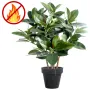 Ficus artificiel elastica ignifugé H90cm