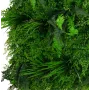 MUR VEGETAL fougère ignifugé