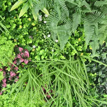 MUR VEGETAL artificiel ignifugé multi plantes