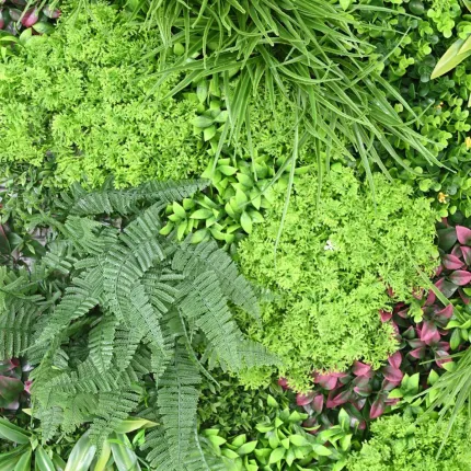 Plaque végétale ignifugée pour mur intérieur ou extérieur