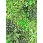 MUR VEGETAL artificiel multi plantes 100 x 100 cm