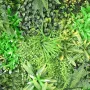mélange de plantes sur mur végétal artificiel ignifugé