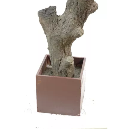 Pot de calage de l'olivier artificiel ignifugé H270cm