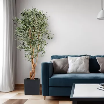 OLIVIER artificiel NEW tronc noueux 170 cm  (olives noires) ANTI FEU dans un salon